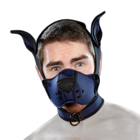 Mr S Leather Neoprene K9 Kit Navy