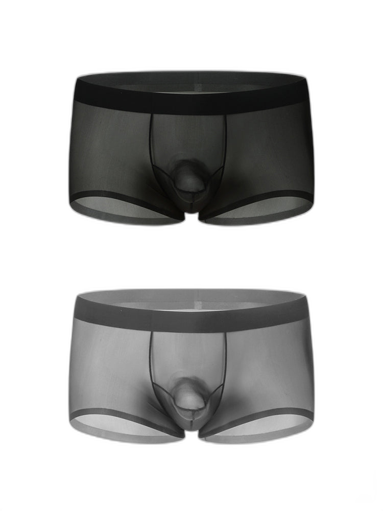 2 Pack Men's Ice Silk Separated Pouch Breathable Stretch Fit Trunks