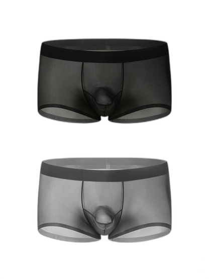 2 Pack Men's Ice Silk Separated Pouch Breathable Stretch Fit Trunks