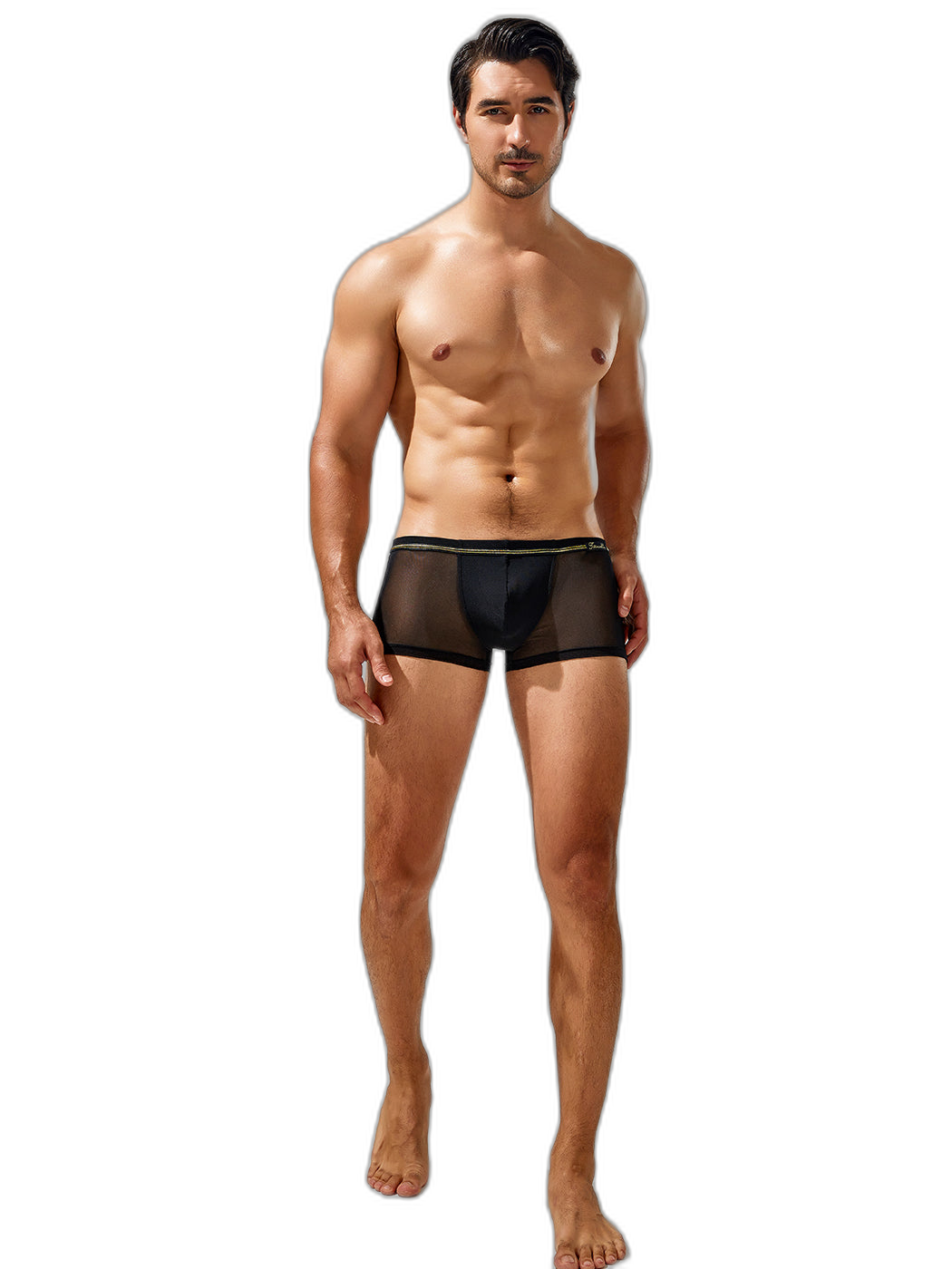 Men's Sexy Low-rise Mesh Trunks