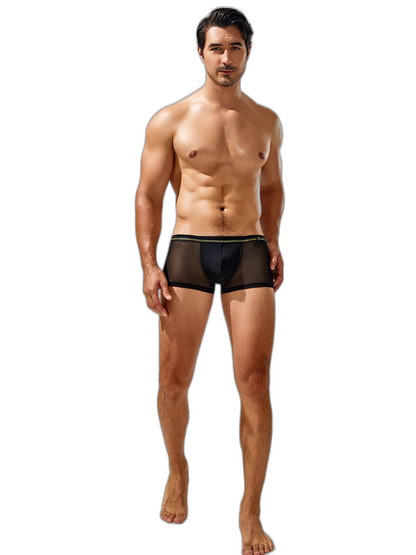 Men's Sexy Low-rise Mesh Trunks