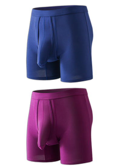 Sexy Separated Ball Pouch Boxer Briefs For Men