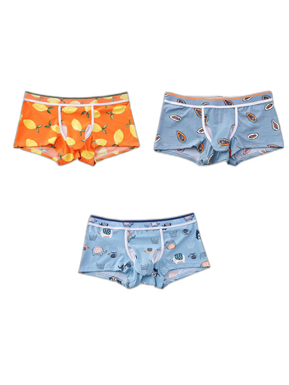 3 Pack Men's Ice Silk Trunks with Separated Pouch Design