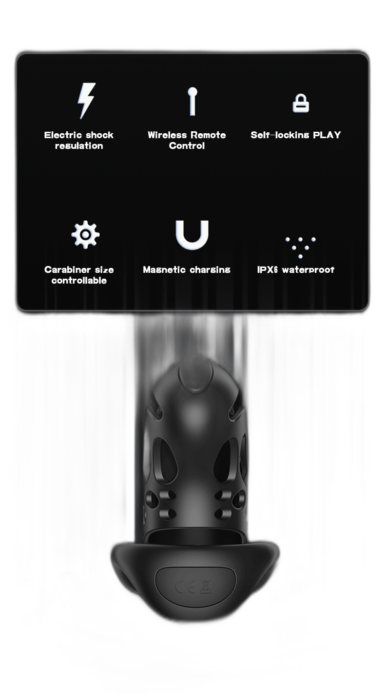 Remote Control Shock Chastity Cage