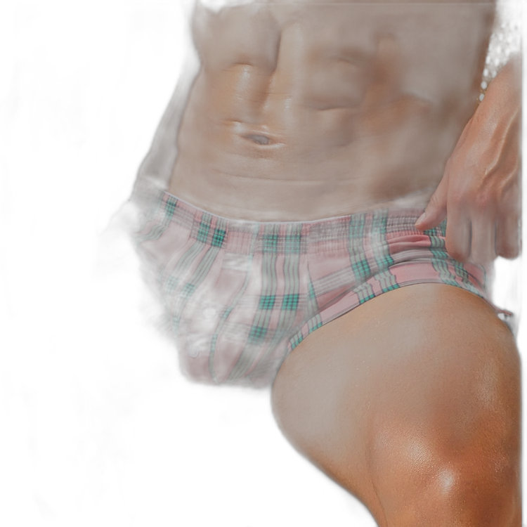 SEOBEAN Plaid Luxe Cotton Shorts