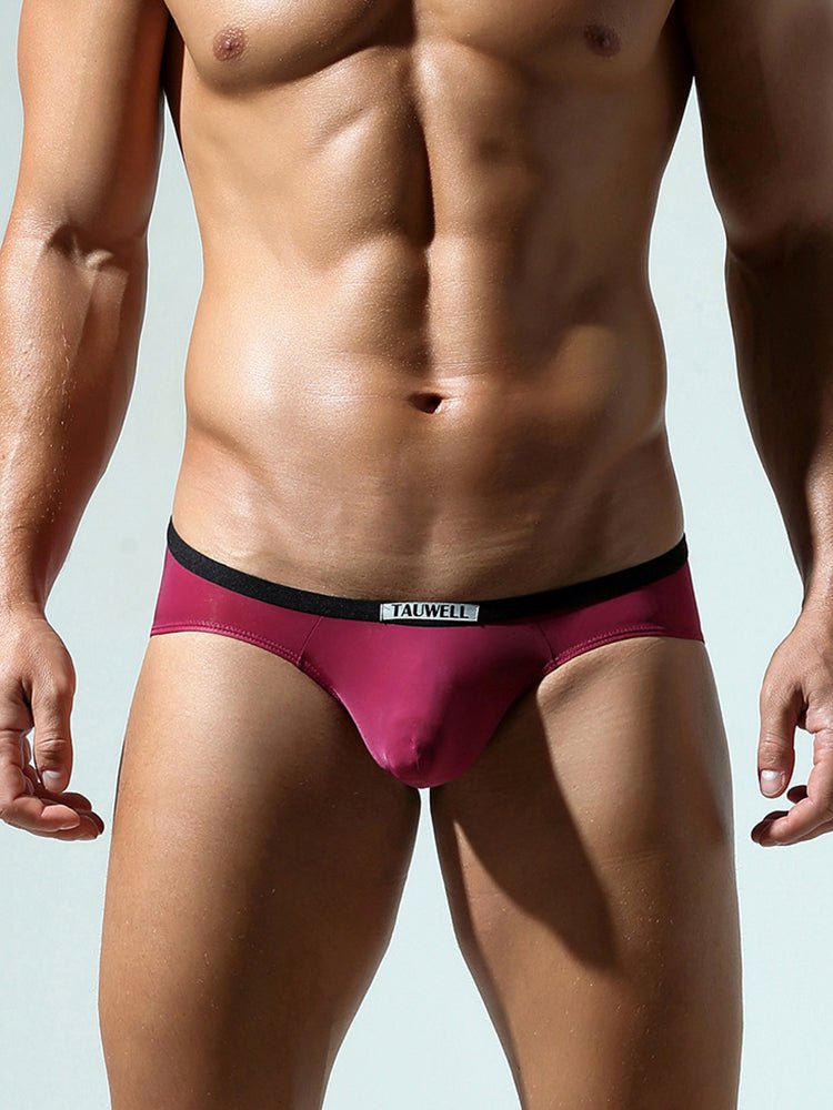 2 - pack Men's Low - rise Nylon Briefs - The Pup Play Hub