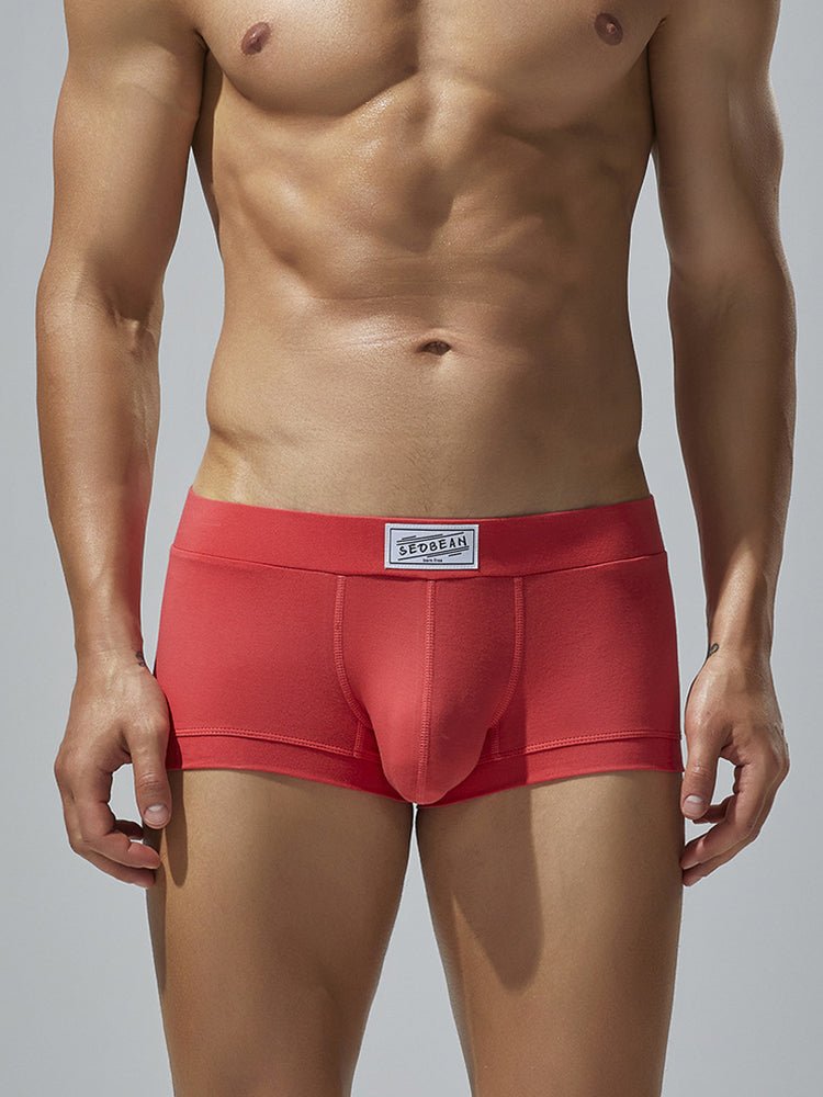 2 Pack Men's Low - Rise Solid Breathable Cotton Trunks - The Pup Play Hub