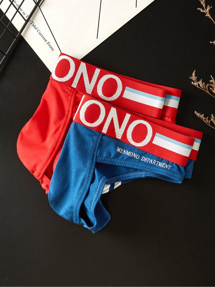 2 - pack Men's Sexy Slim Fit Fashion U - convex Bikini - The Pup Play Hub