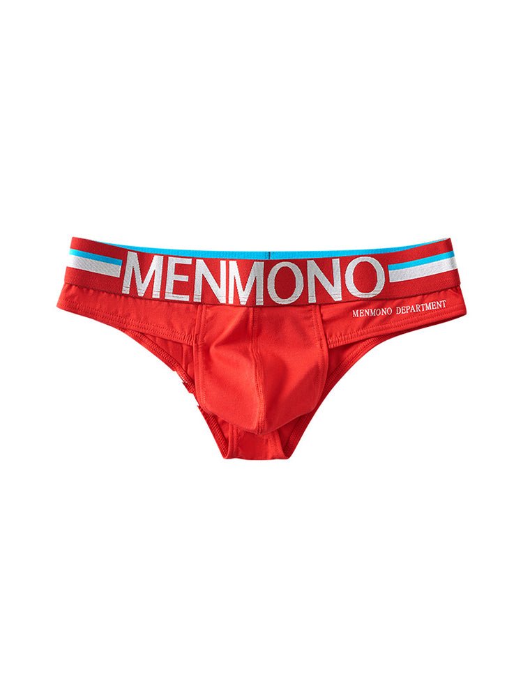 2 - pack Men's Sexy Slim Fit Fashion U - convex Bikini - The Pup Play Hub