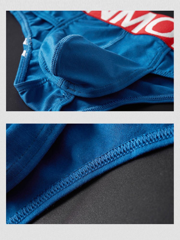 2 - pack Men's Sexy Slim Fit Fashion U - convex Bikini - The Pup Play Hub