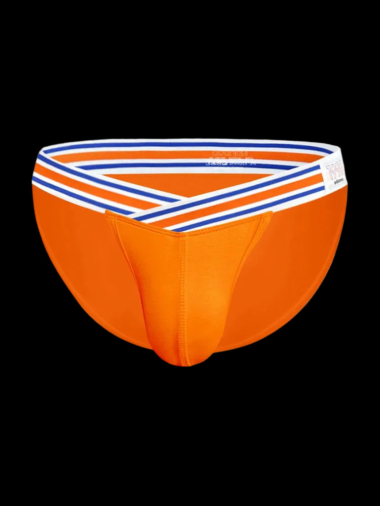 2 - pack Men's Striped V - waist High - cut Briefs - The Pup Play Hub