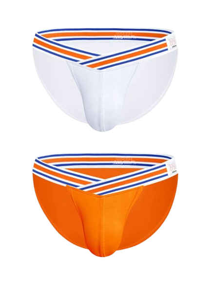 2-pack Striped V-waist High-cut Briefs