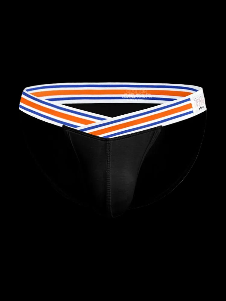 2 - pack Men's Striped V - waist High - cut Briefs - The Pup Play Hub