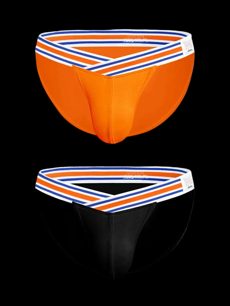 2 - pack Men's Striped V - waist High - cut Briefs - The Pup Play Hub