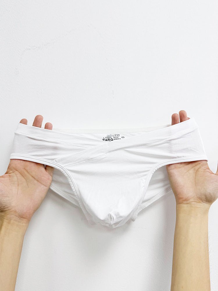 2 Pack Men's Ultra - Soft Modal Breathable Mesh Ice Silk Briefs - The Pup Play Hub