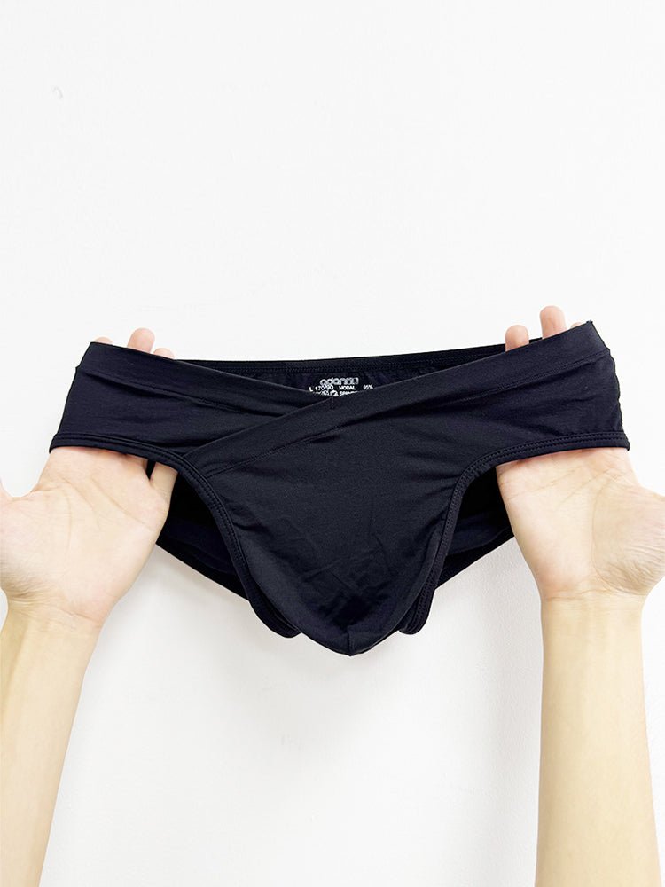 2 Pack Men's Ultra - Soft Modal Breathable Mesh Ice Silk Briefs - The Pup Play Hub