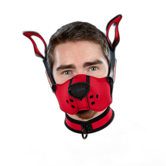 Mr S Leather Neoprene K9 Muzzle  Red