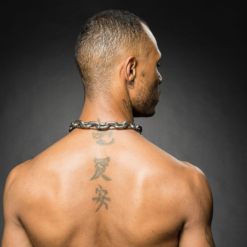 LIL'  STAINLESS COLLAR & LOCK 19'