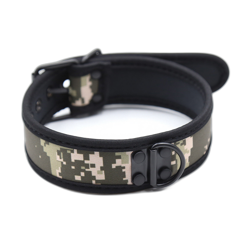 Coloured Adjustable Neck Collar