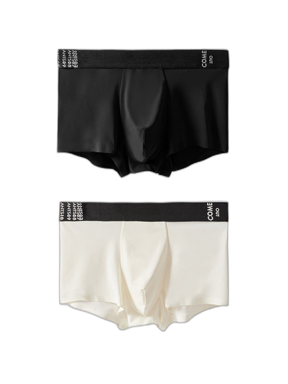2 Pack Men's Premium Ultra-Thin Seamless Ice Silk Stretch Fit Trunks