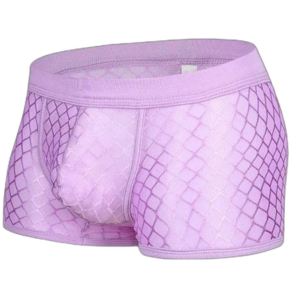 Transparent Mesh Boxers