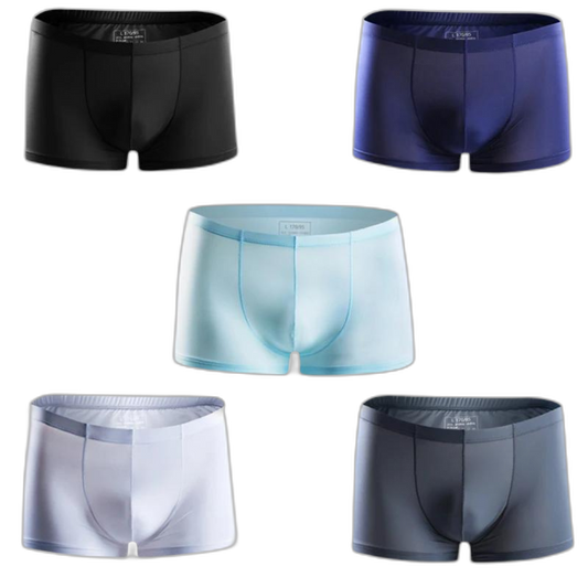 Ice Embrace Transparent Boxer Briefs (4 Pack)