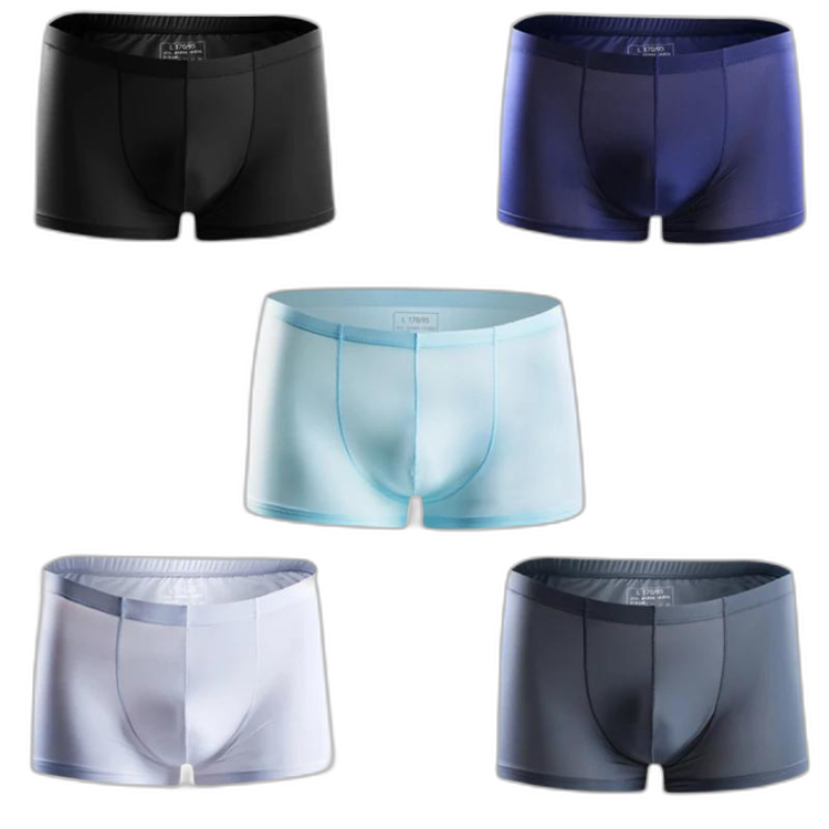 Ice Embrace Transparent Boxer Briefs (4 Pack)