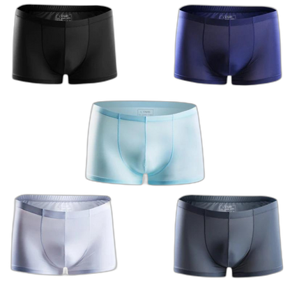 Ice Embrace Transparent Boxer Briefs (4 Pack)