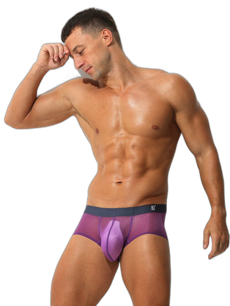 Men's Transparent Sexy Ice Silk Seamless Boxer Briefs