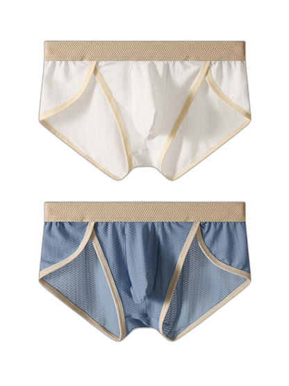 2 Pack Men's Breathable High-Stretch Seamless Comfort Odor-Control Briefs