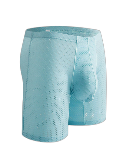 2 Pack Men's Mesh Transparent Sports Fitness Loose Boxer Briefs