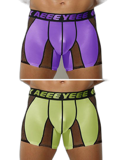 2 Pack Men's Workout Anti-Chafing Quick-Dry & Breathable Mesh Stretch Boxer Briefs