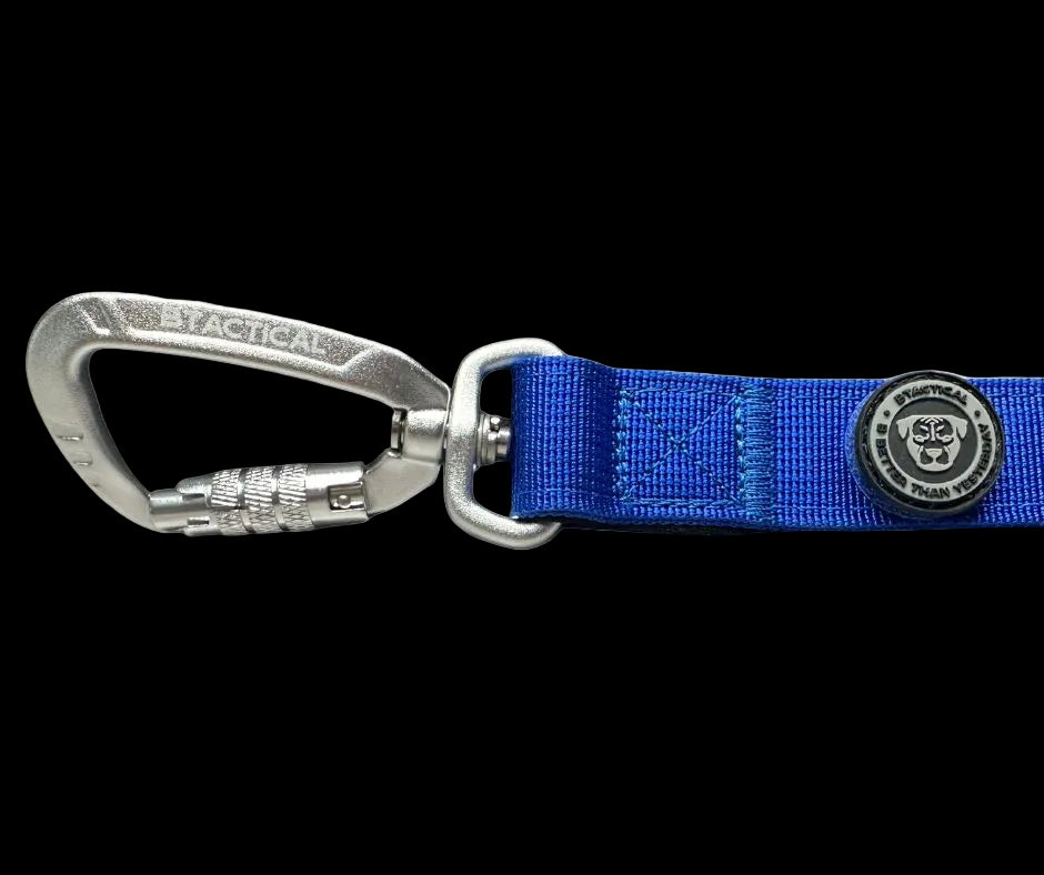 Tactical Carabiner Clip Lead Blue