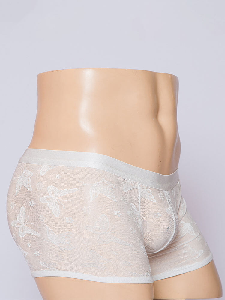 Men's Sexy Sheer Mesh Form-Fitting Boxer Briefs