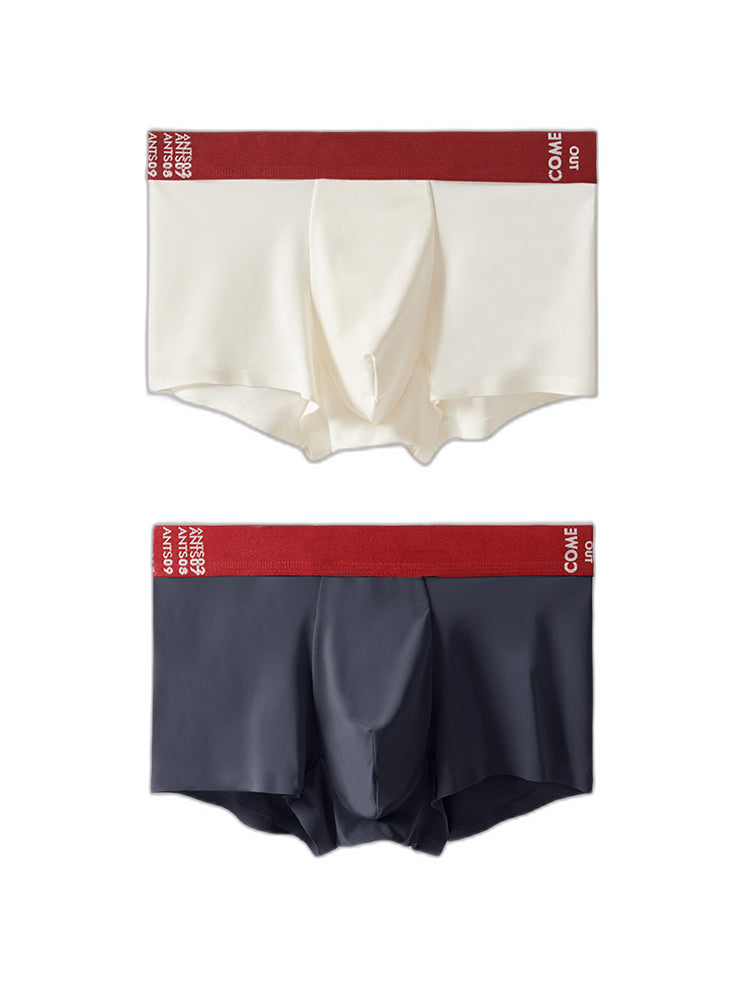 2 Pack Men's Premium Ultra-Thin Seamless Ice Silk Stretch Fit Trunks