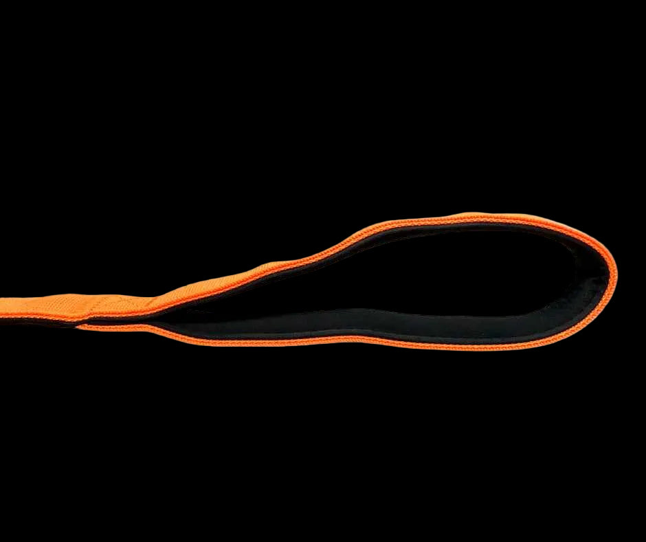 Tactical Carabiner Clip Lead Orange