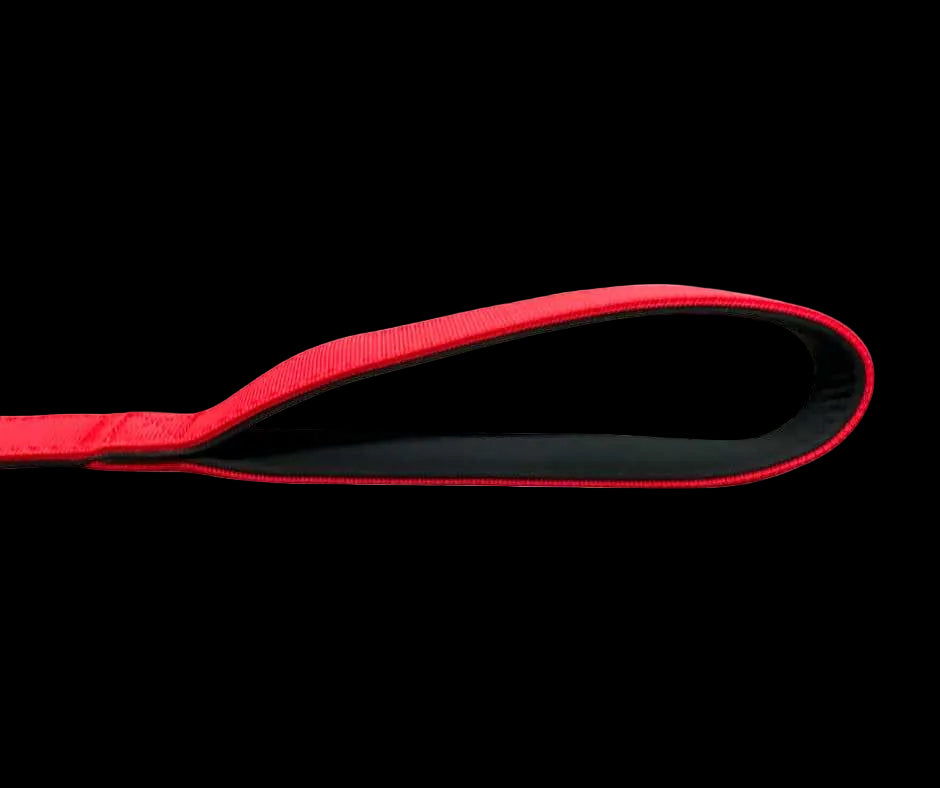 Tactical Carabiner Clip Lead Red