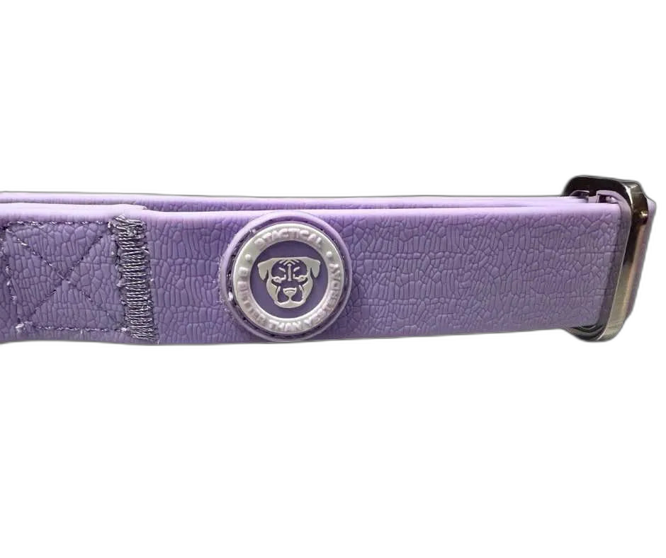 2.5cm Tactical Collar Purple (XS)