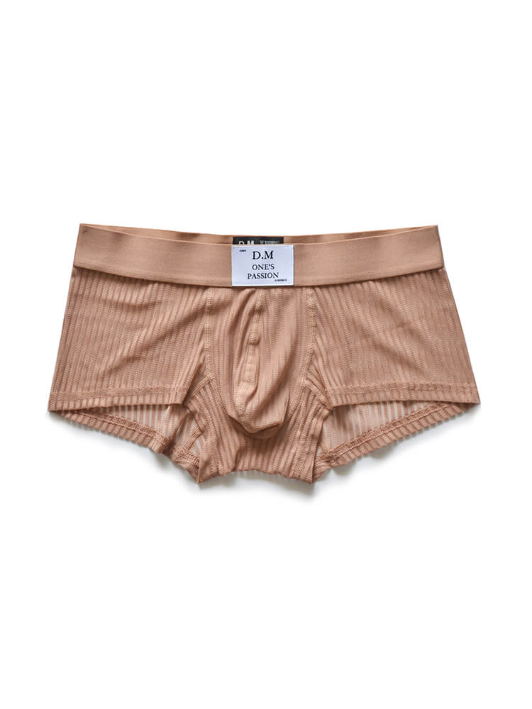 D.M Men's Sexy Mesh Sheer Solid Color Boxer Briefs