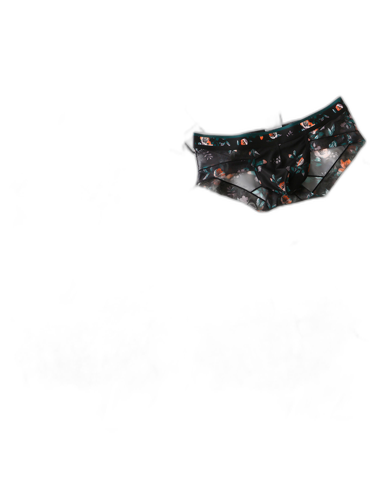 4 Pack Men’s Flower Print Pouch Briefs