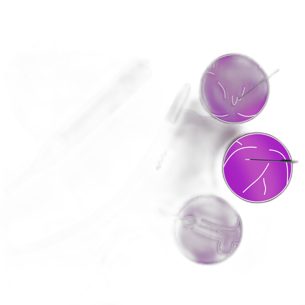 10-Speed Long Vibrating Urethral Sound