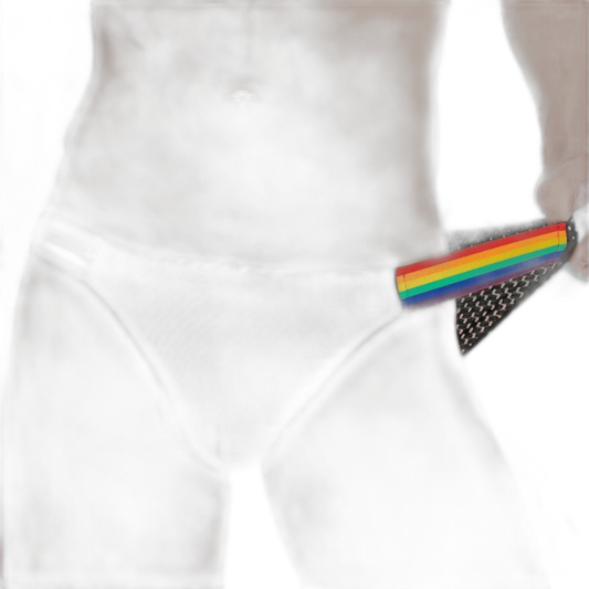SEOBEAN Pride Pop Low-Rise Briefs