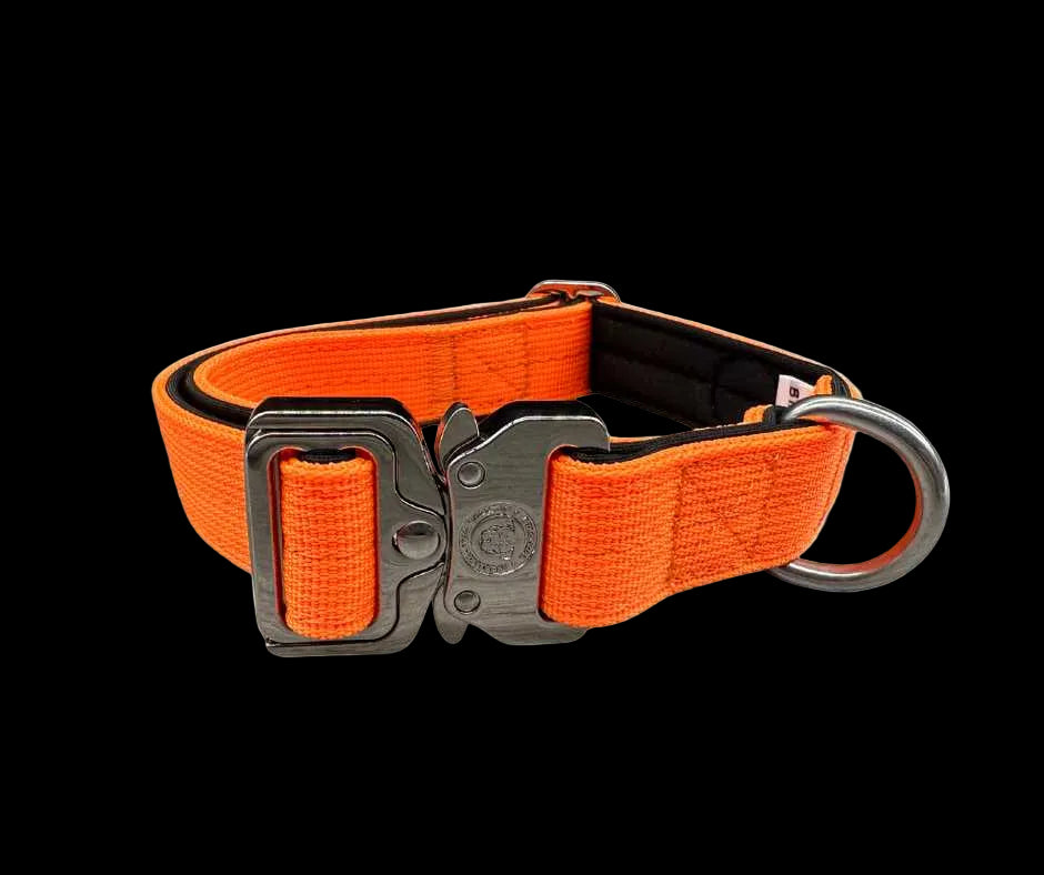 2.5cm Tactical™ Collar Orange