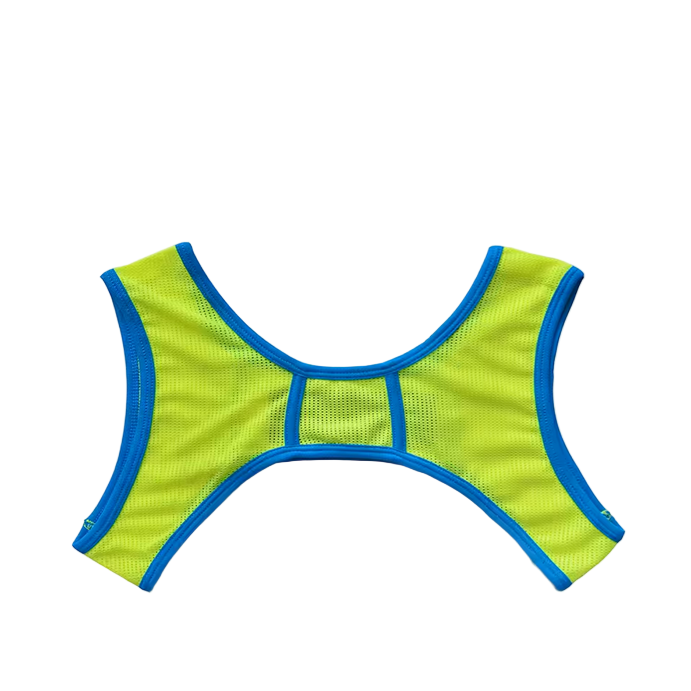 Dog & Master Mesh Harness Green/Blue