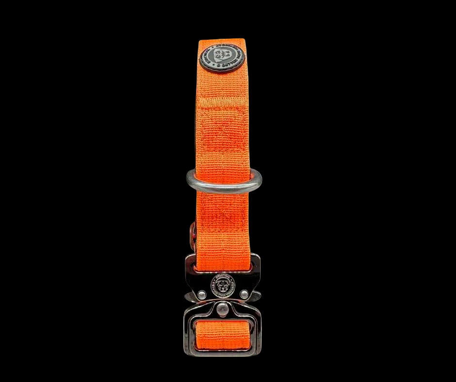 2.5cm Tactical™ Collar Orange