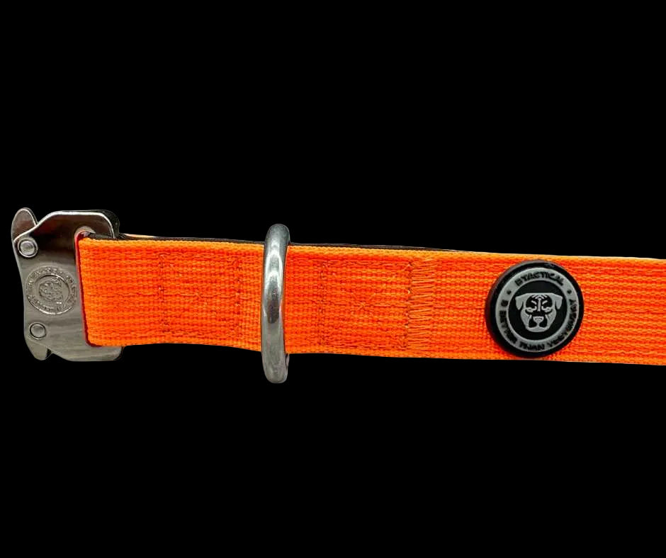 2.5cm Tactical™ Collar Orange