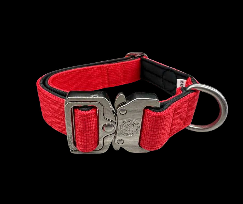 2.5cm Tactical Collar Red