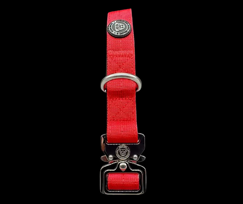 2.5cm Tactical Collar Red
