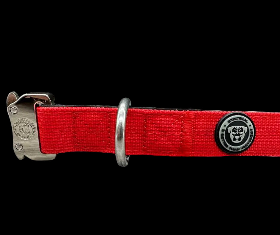 2.5cm Tactical Collar Red