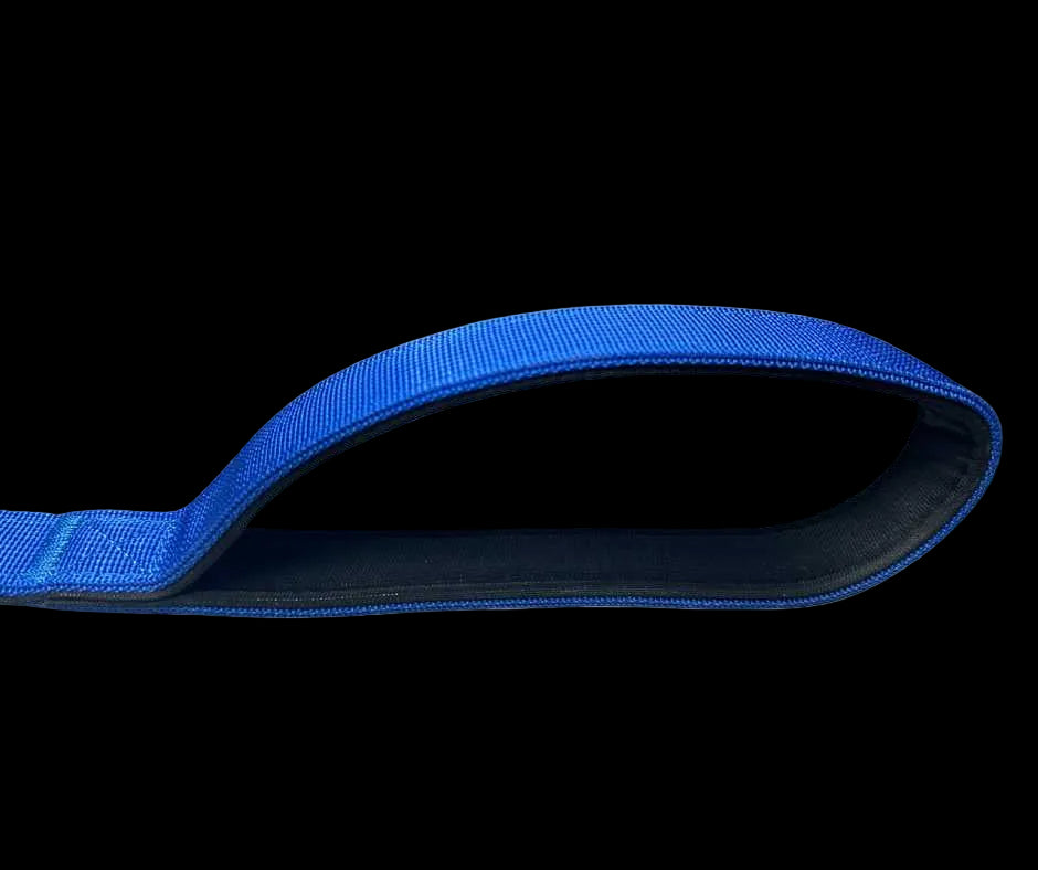 Tactical Carabiner Clip Lead Blue